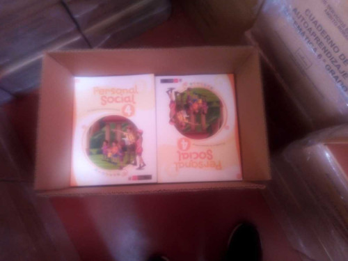 Joel Chancasanampa García