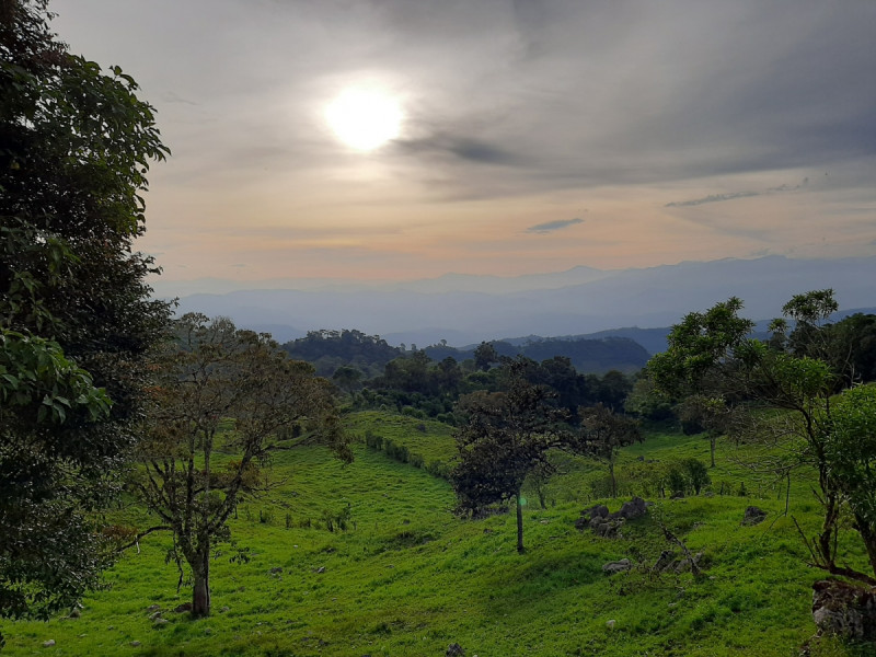Contratar con sabiduría
