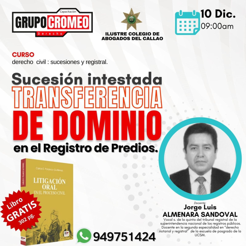 Curso de Derecho Civil: Sucesiones y registral