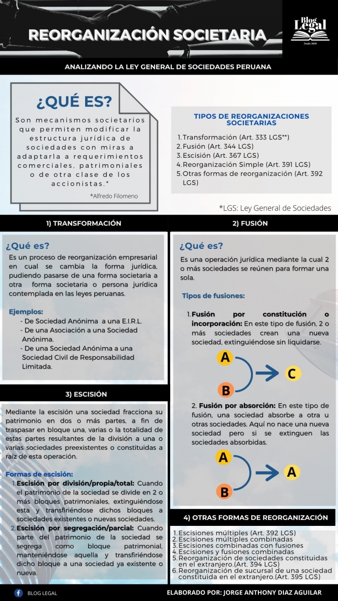 ENFOQUE CORPORATIVO: Reorganización Societaria